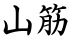 山筋