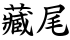 藏尾